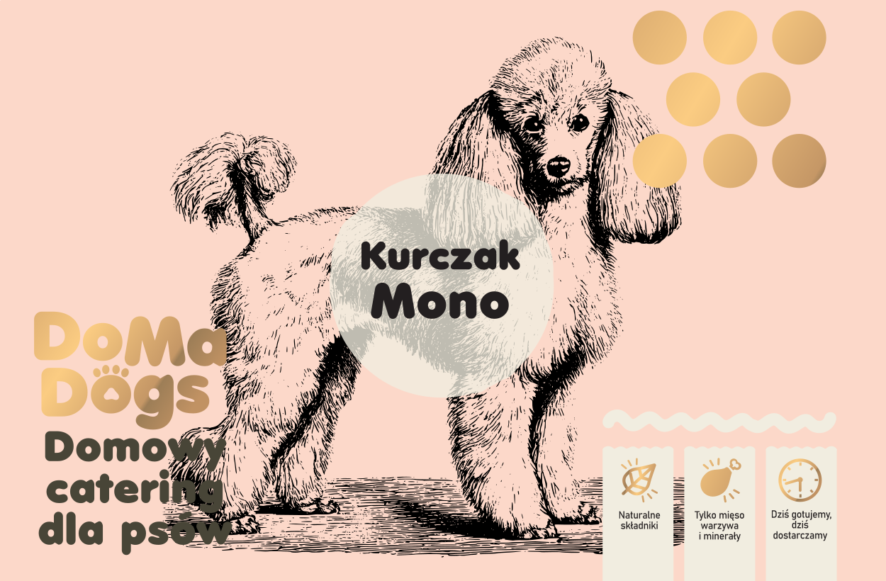 Kurczak Mono