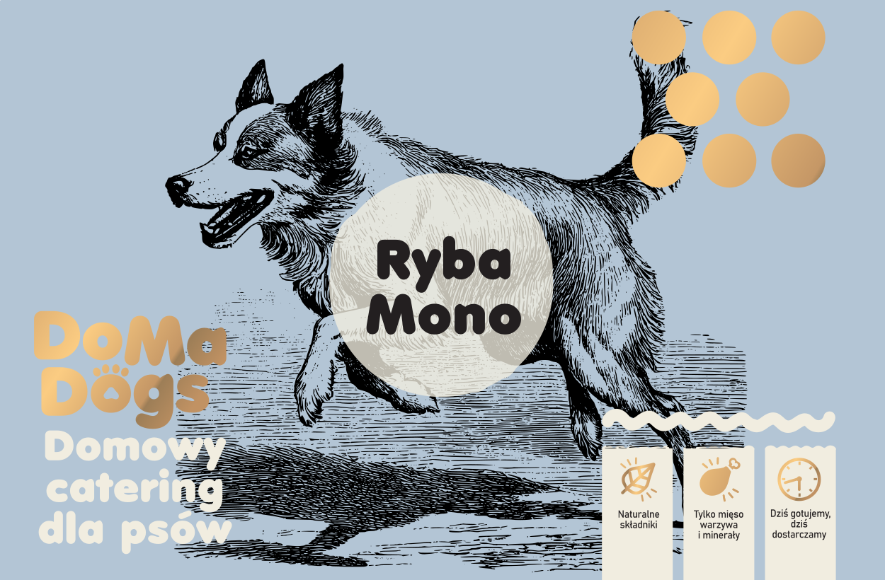 Ryba Mono