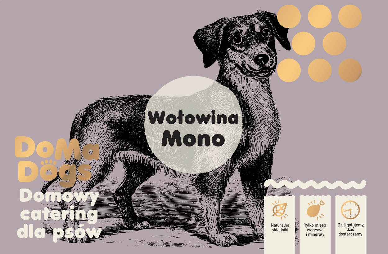 Wołowina Mono
